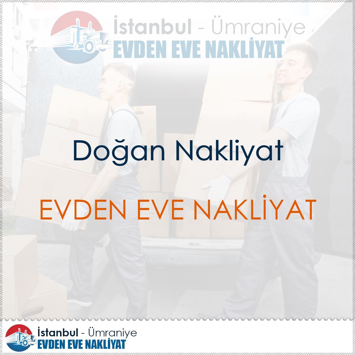Doğan Nakliyat logo